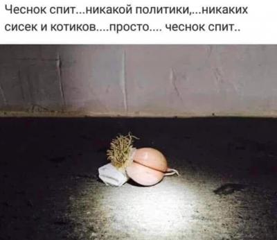 Прикрепленное изображение: 295881426_5482637931799865_421820989532658661_n.jpg